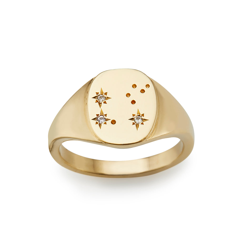 Astrology Signet Ring - Leo